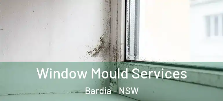  Window Mould Services Bardia - NSW