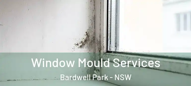  Window Mould Services Bardwell Park - NSW