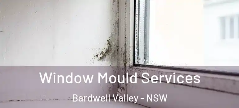 Window Mould Services Bardwell Valley - NSW