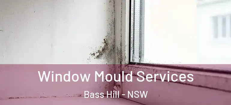 Window Mould Services Bass Hill - NSW