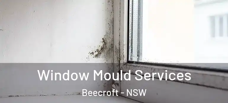 Window Mould Services Beecroft - NSW