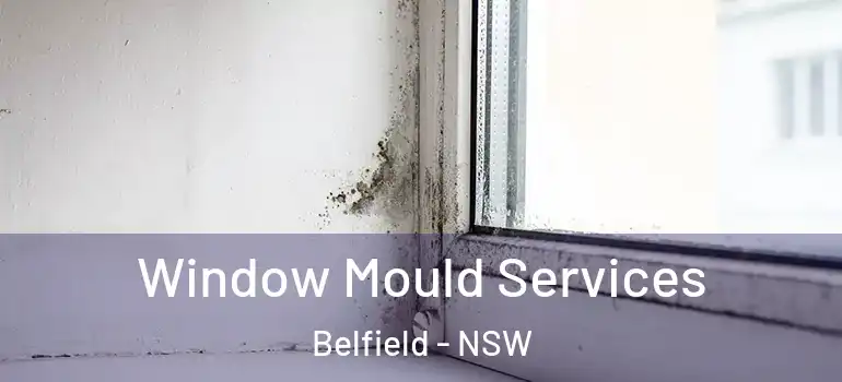 Window Mould Services Belfield - NSW