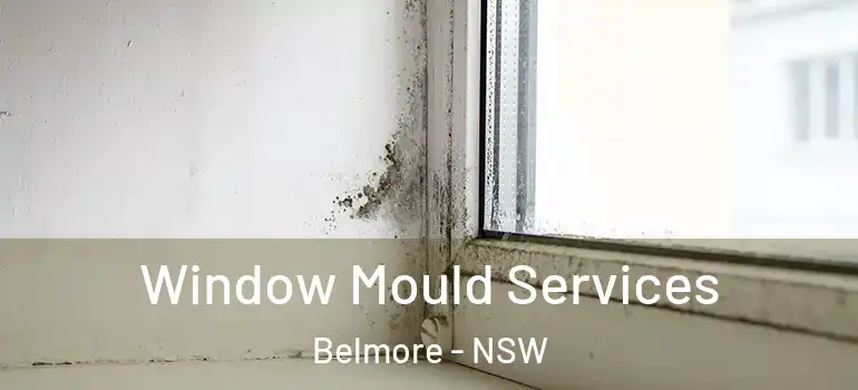 Window Mould Services Belmore - NSW