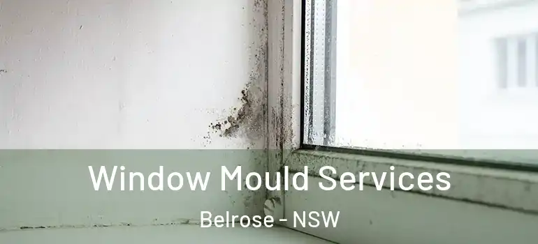 Window Mould Services Belrose - NSW