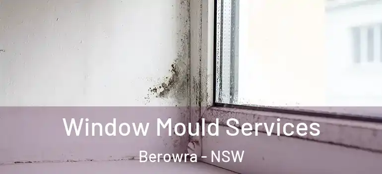 Window Mould Services Berowra - NSW