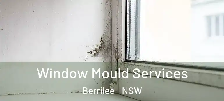 Window Mould Services Berrilee - NSW
