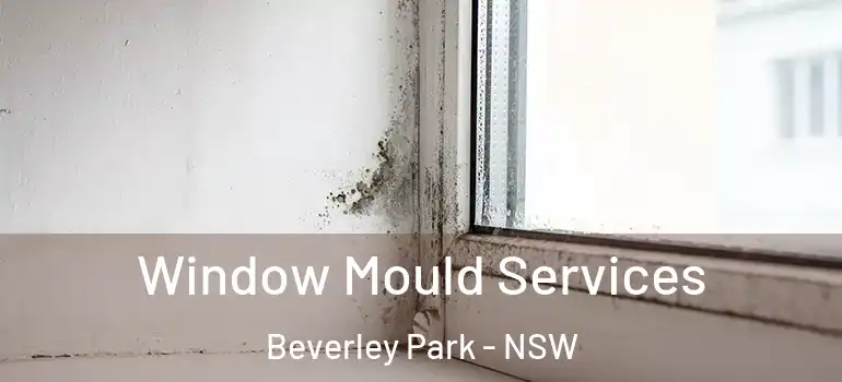 Window Mould Services Beverley Park - NSW