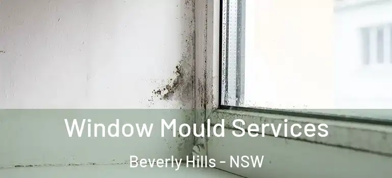 Window Mould Services Beverly Hills - NSW