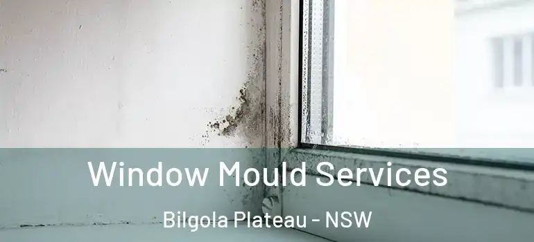Window Mould Services Bilgola Plateau - NSW