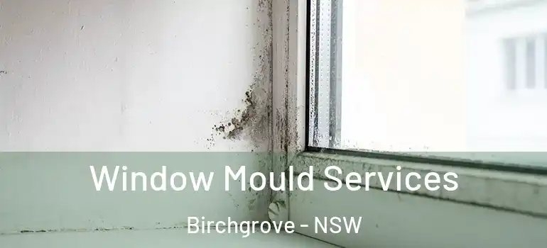 Window Mould Services Birchgrove - NSW