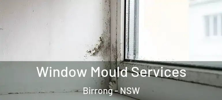  Window Mould Services Birrong - NSW