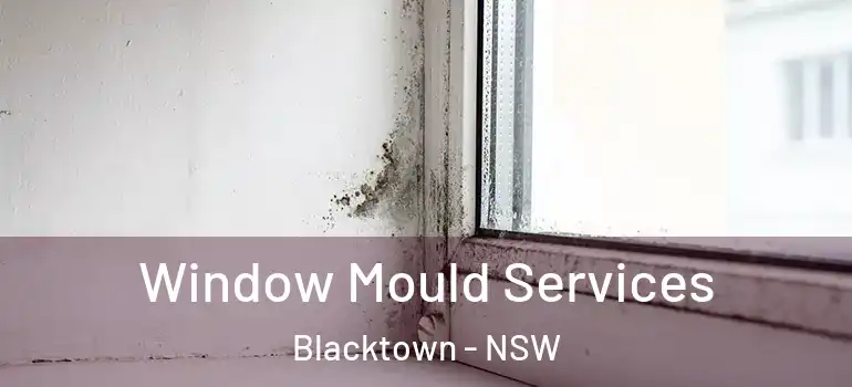 Window Mould Services Blacktown - NSW