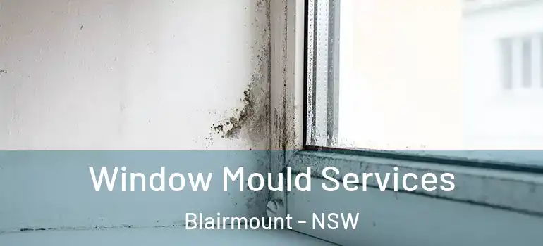  Window Mould Services Blairmount - NSW