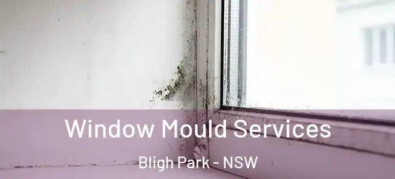 Window Mould Services Bligh Park - NSW