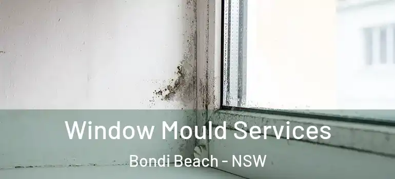 Window Mould Services Bondi Beach - NSW