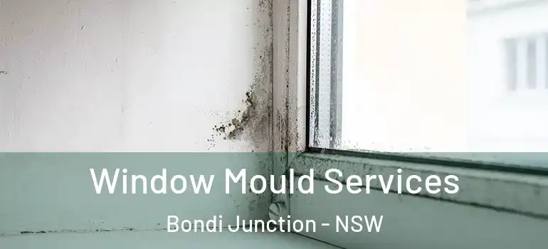 Window Mould Services Bondi Junction - NSW