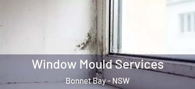 Window Mould Services Bonnet Bay - NSW