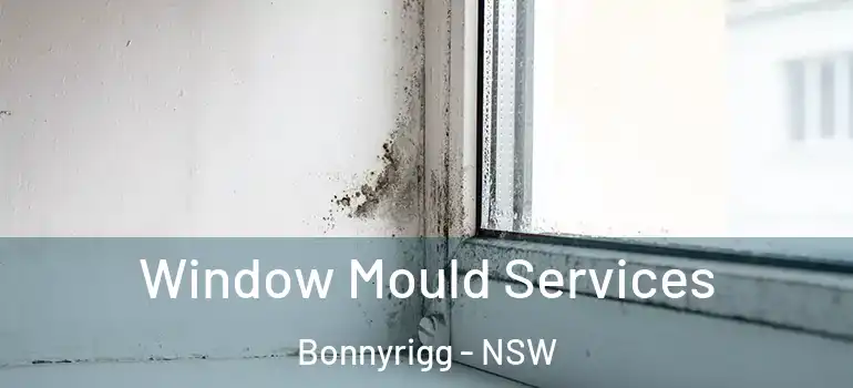Window Mould Services Bonnyrigg - NSW
