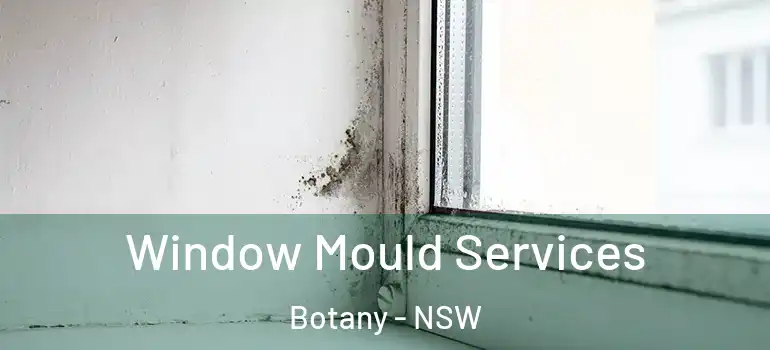Window Mould Services Botany - NSW