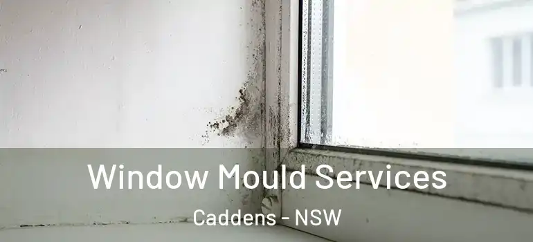 Window Mould Services Caddens - NSW