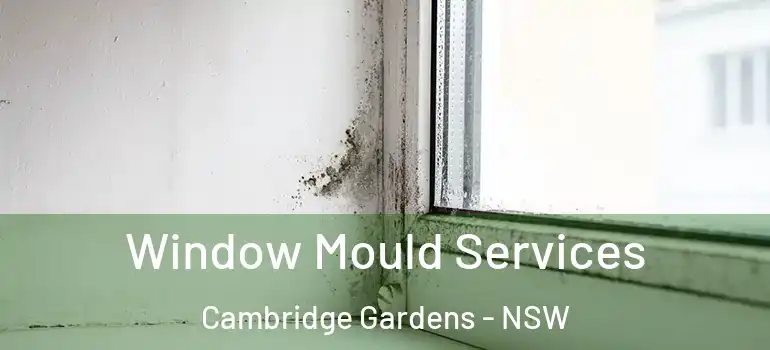  Window Mould Services Cambridge Gardens - NSW