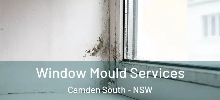 Window Mould Services Camden South - NSW