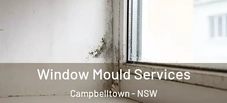  Window Mould Services Campbelltown - NSW