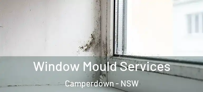 Window Mould Services Camperdown - NSW