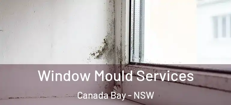 Window Mould Services Canada Bay - NSW