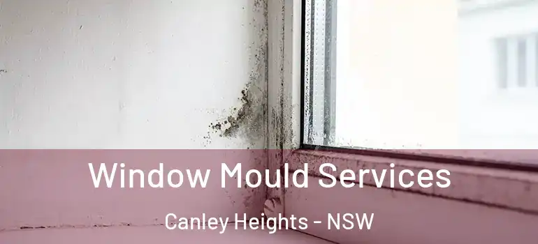 Window Mould Services Canley Heights - NSW