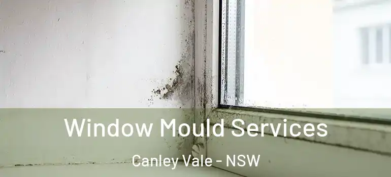 Window Mould Services Canley Vale - NSW