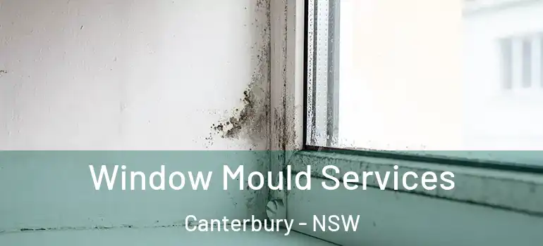 Window Mould Services Canterbury - NSW