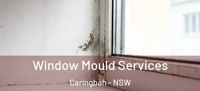 Window Mould Services Caringbah - NSW