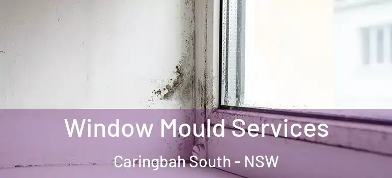  Window Mould Services Caringbah South - NSW