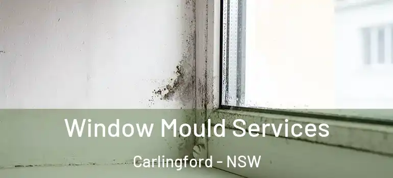 Window Mould Services Carlingford - NSW