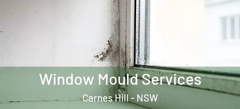 Window Mould Services Carnes Hill - NSW