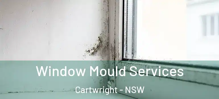  Window Mould Services Cartwright - NSW