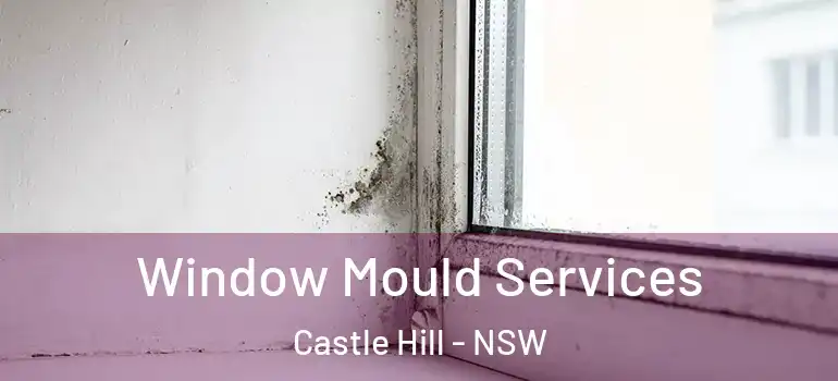 Window Mould Services Castle Hill - NSW