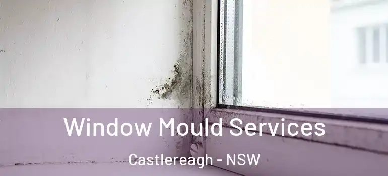  Window Mould Services Castlereagh - NSW