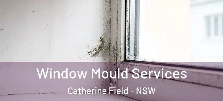  Window Mould Services Catherine Field - NSW