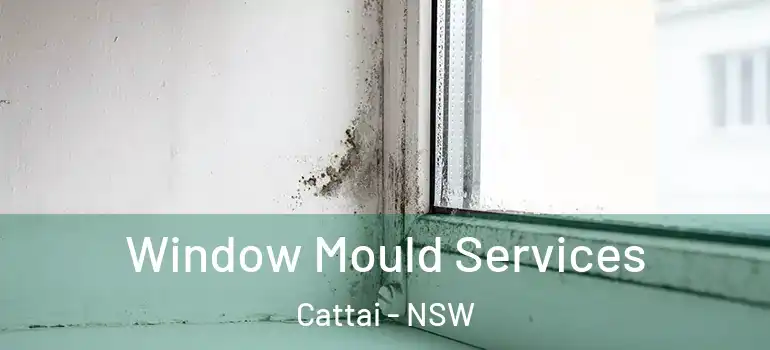 Window Mould Services Cattai - NSW
