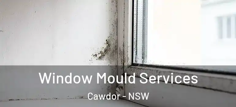 Window Mould Services Cawdor - NSW