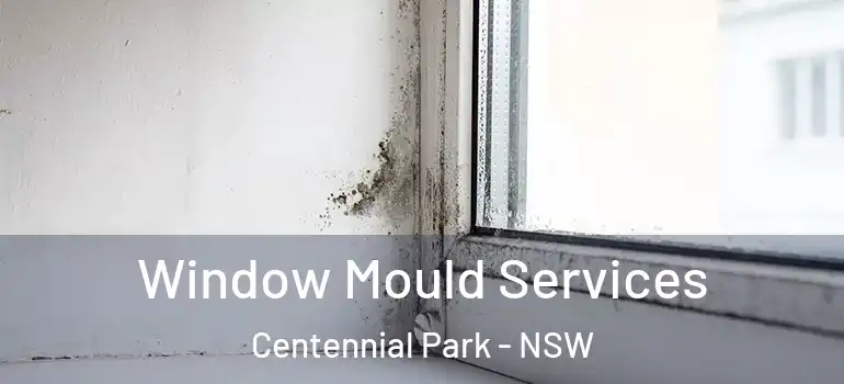  Window Mould Services Centennial Park - NSW