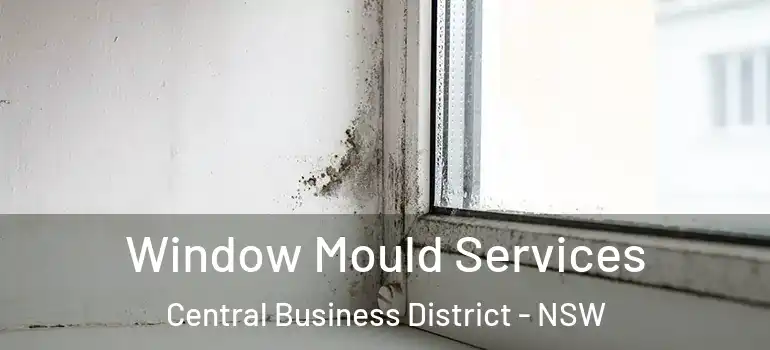  Window Mould Services Central Business District - NSW