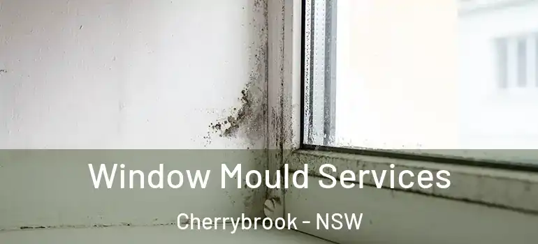 Window Mould Services Cherrybrook - NSW