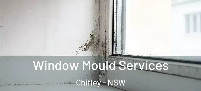  Window Mould Services Chifley - NSW