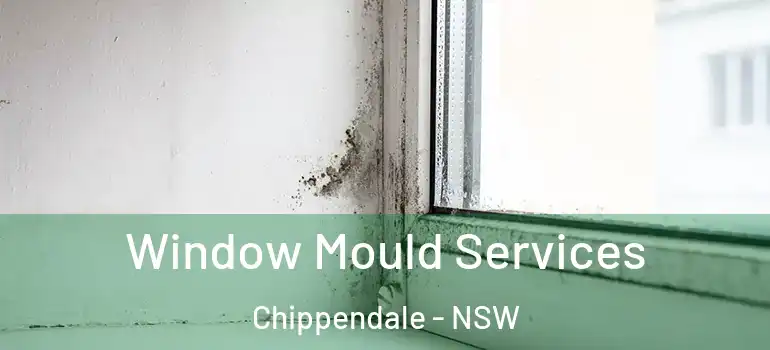 Window Mould Services Chippendale - NSW