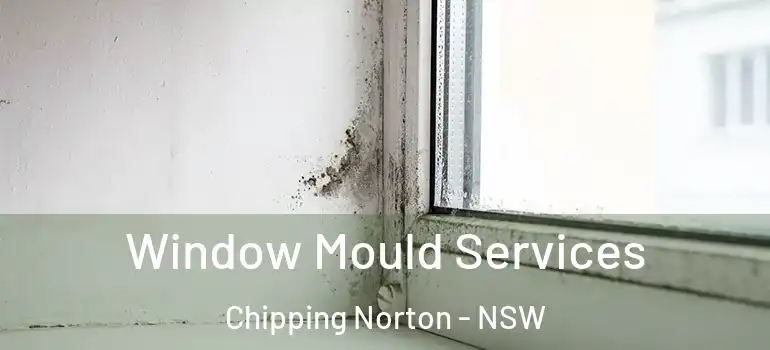 Window Mould Services Chipping Norton - NSW