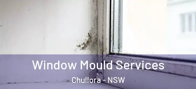 Window Mould Services Chullora - NSW