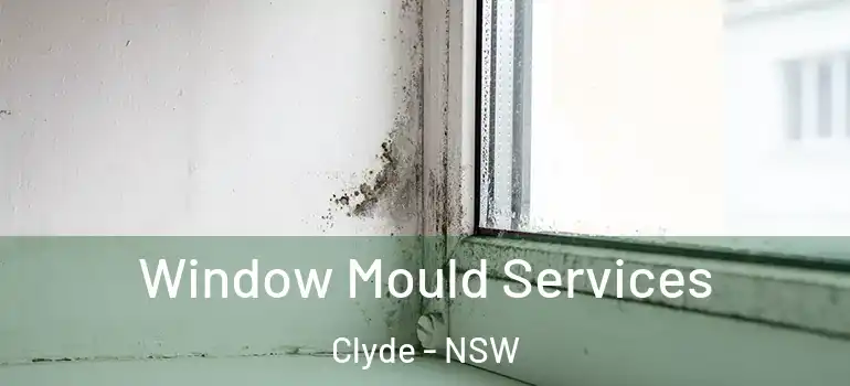 Window Mould Services Clyde - NSW